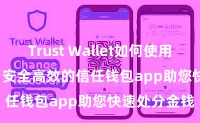 Trust Wallet如何使用Avalanche 安全高效的信任钱包app助您快速处分金钱